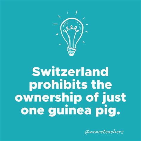 8fact|weird but true facts.